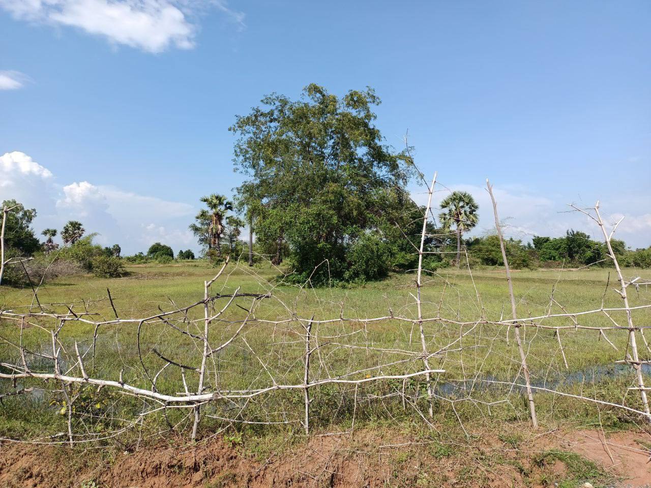 properties