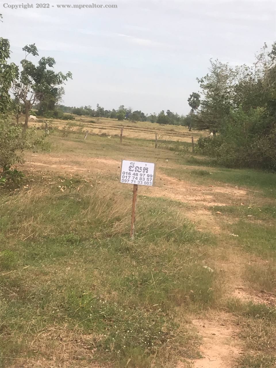 properties