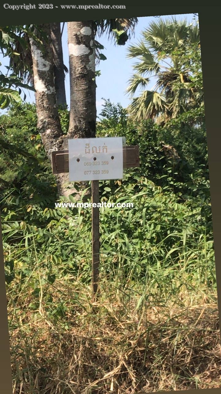 properties