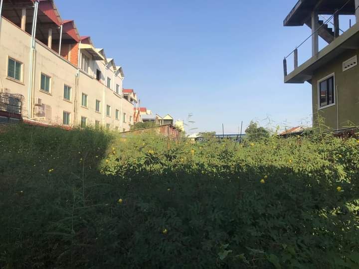 properties