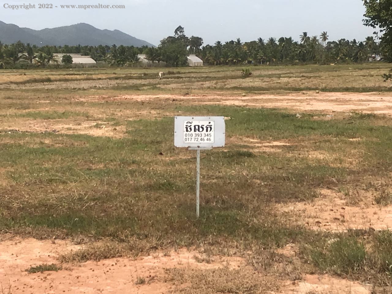 properties