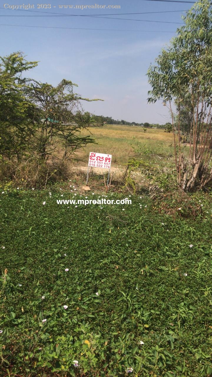 properties