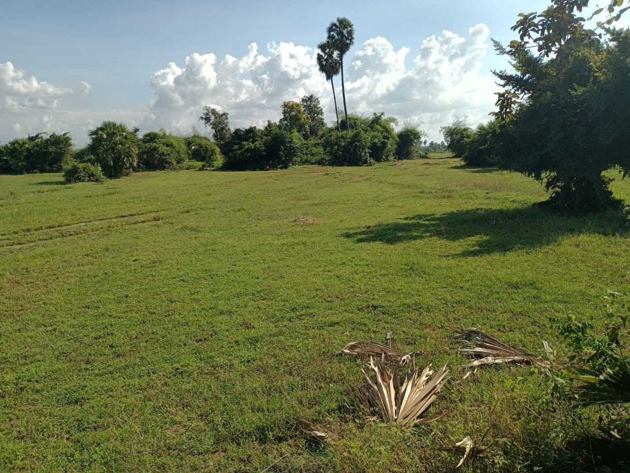 properties