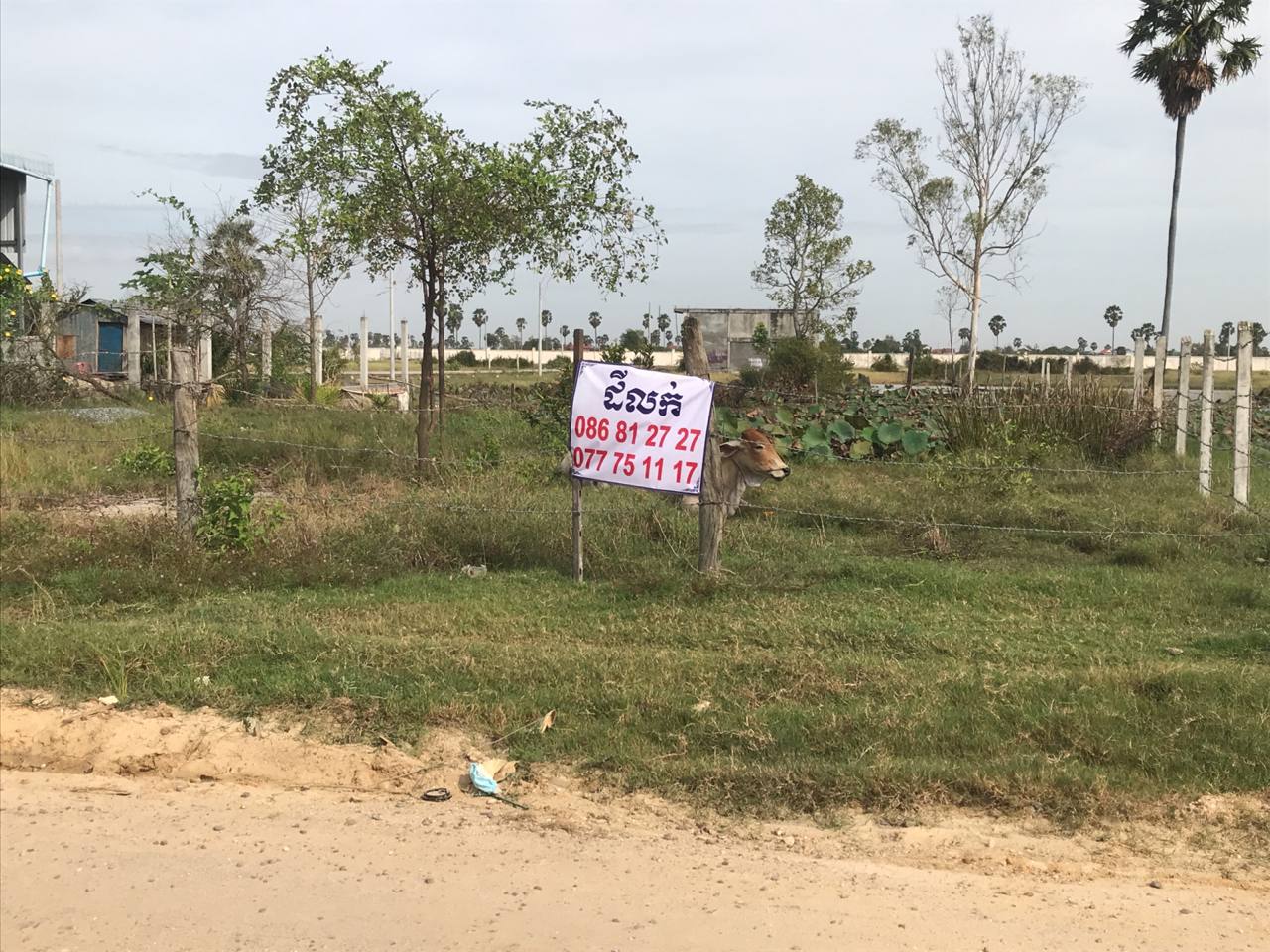 properties