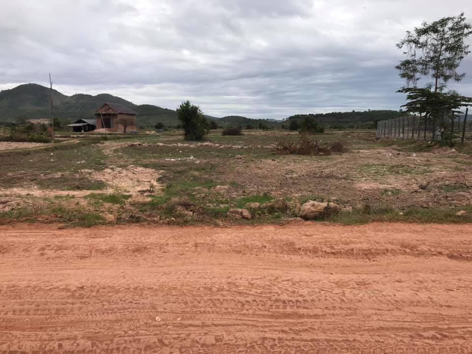 properties
