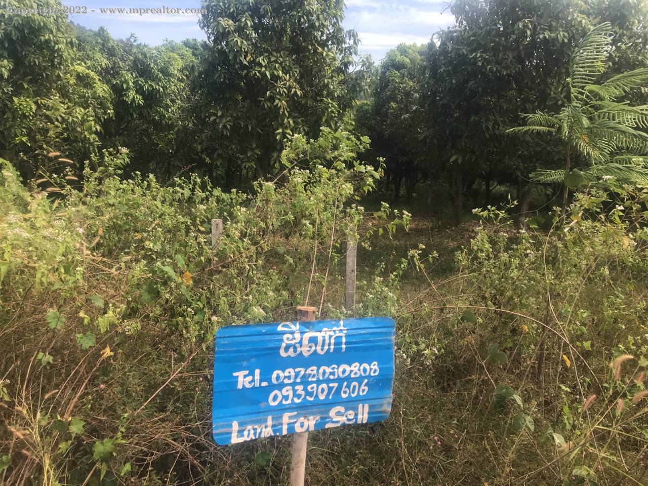 properties