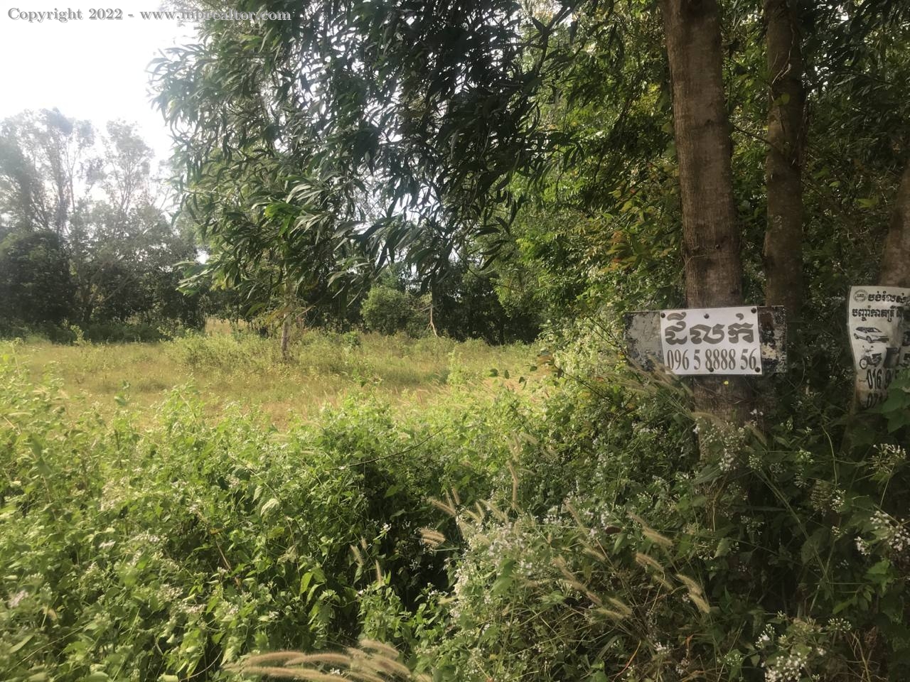 properties