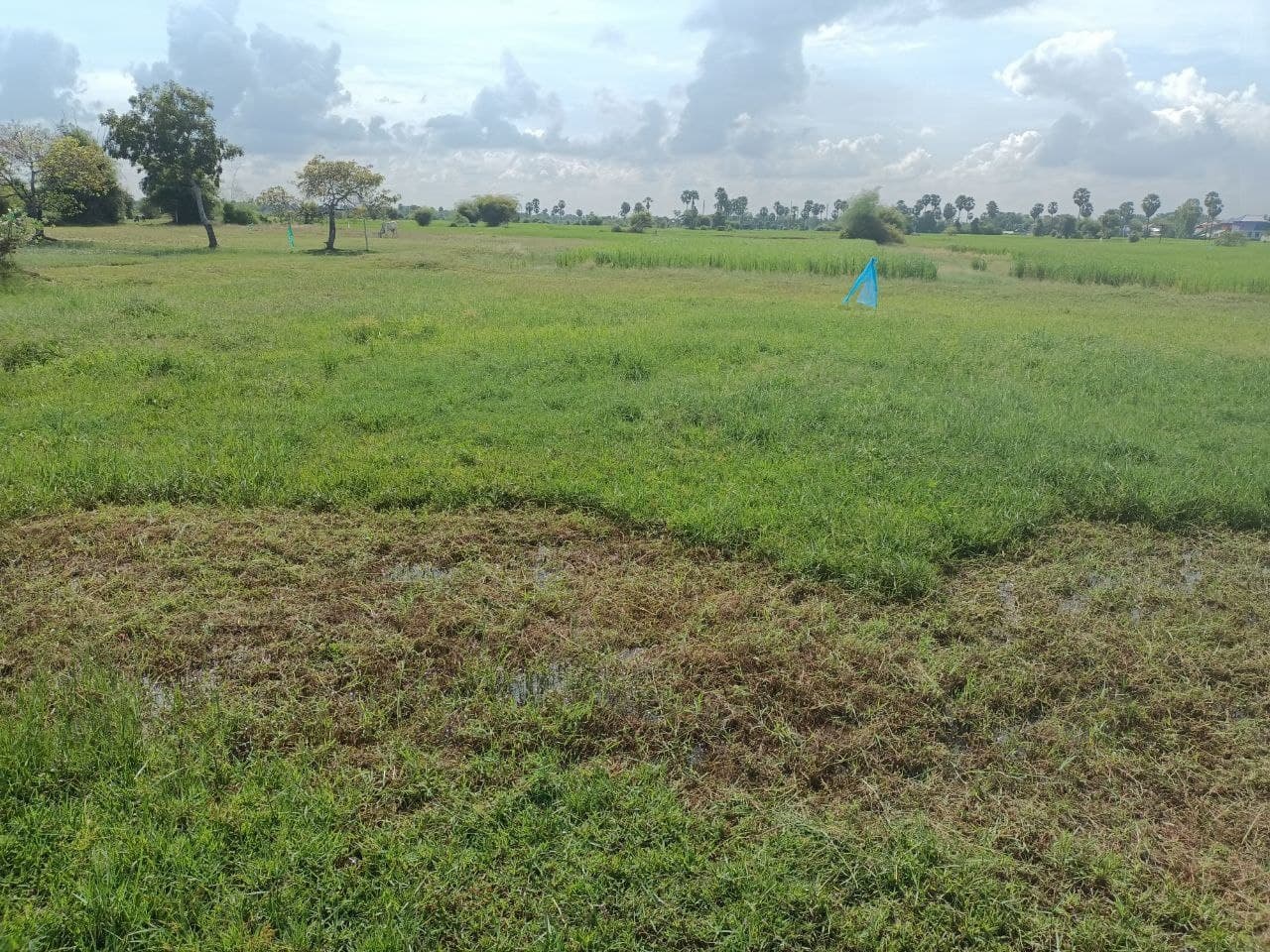 properties