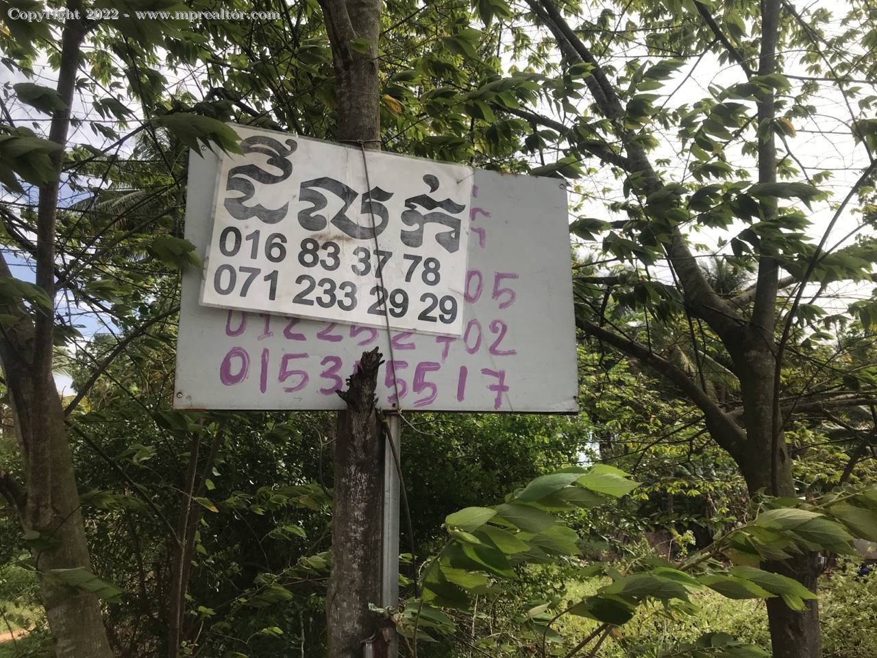 properties
