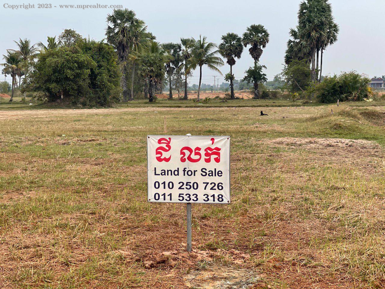 properties