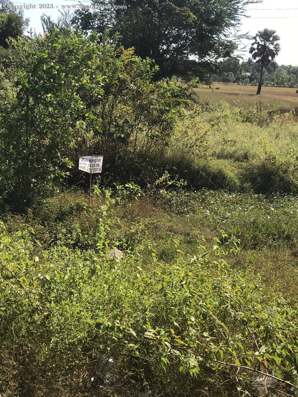properties