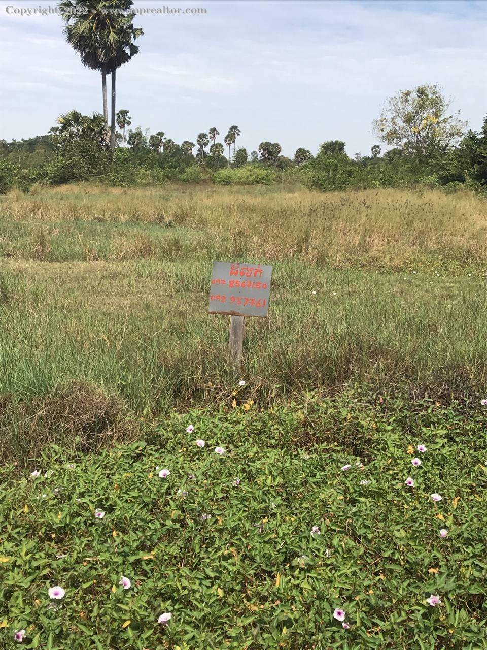 properties
