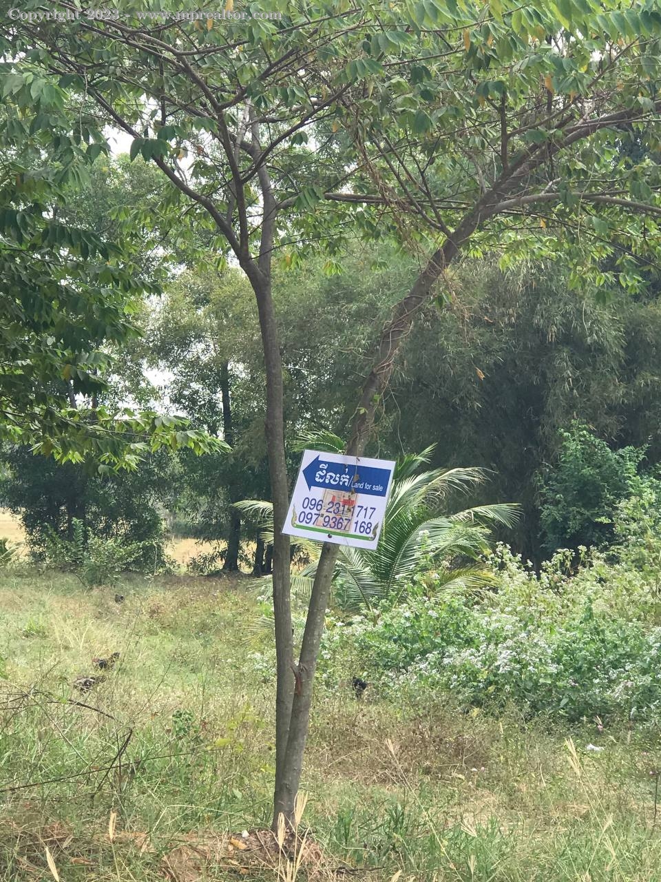 properties
