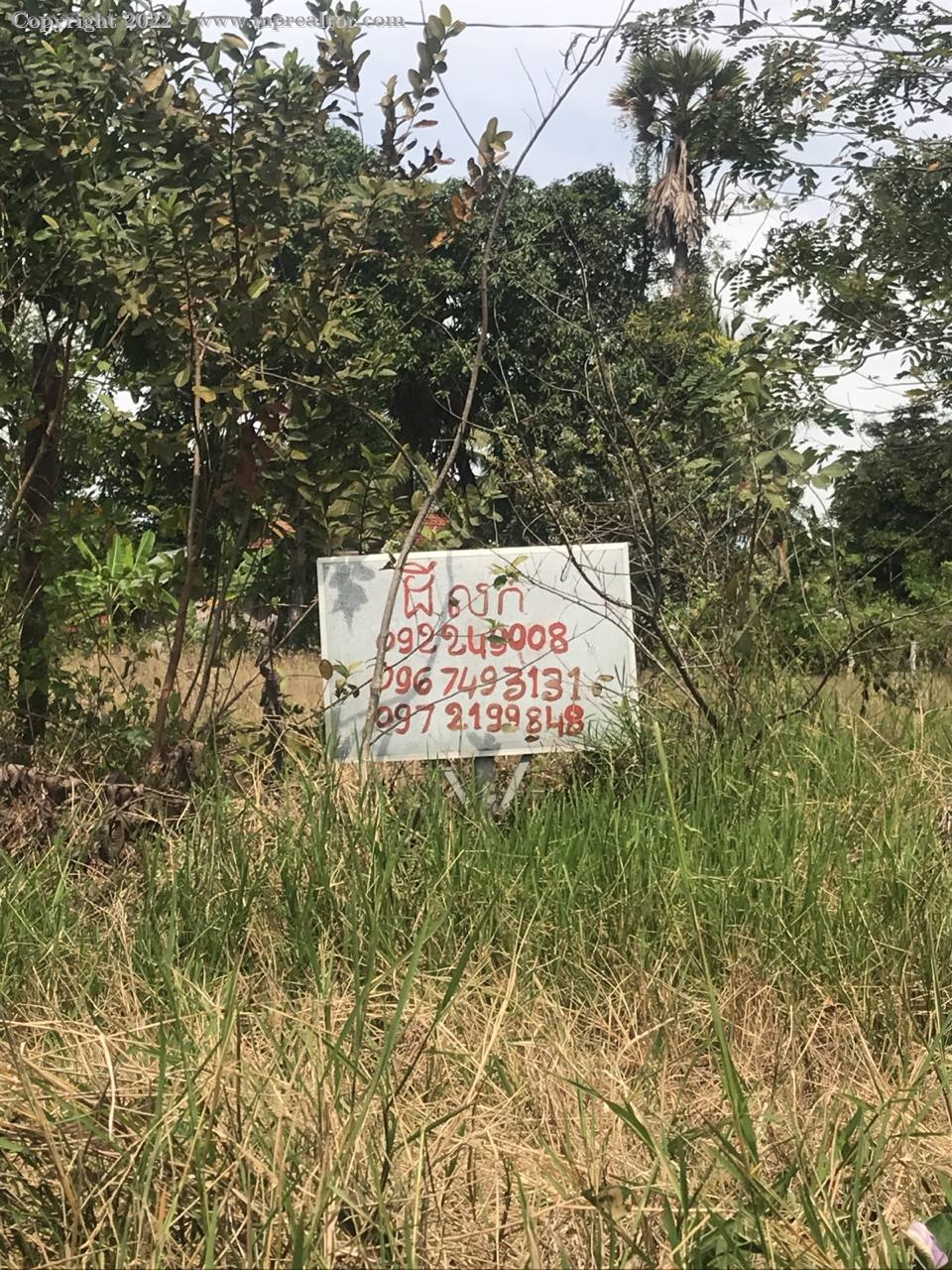 properties