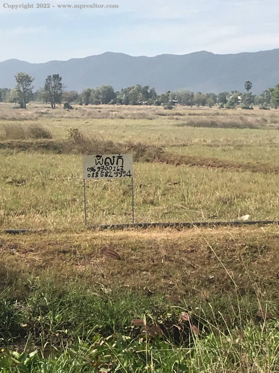 properties