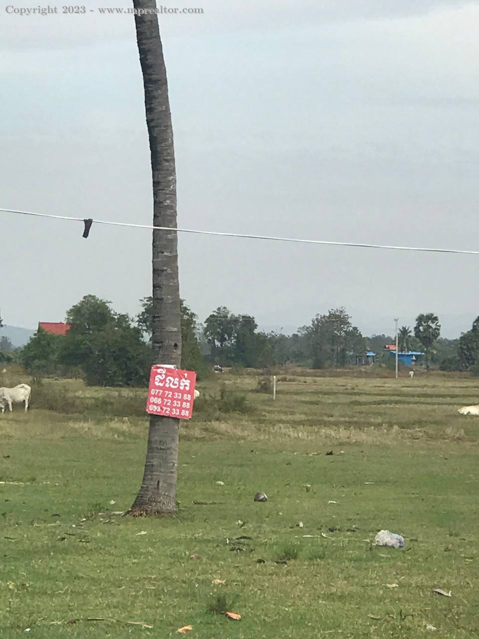 properties