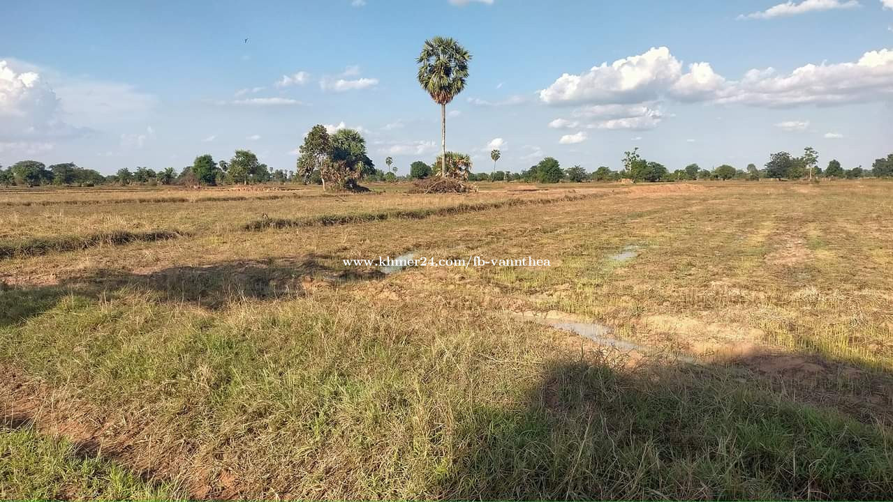 properties
