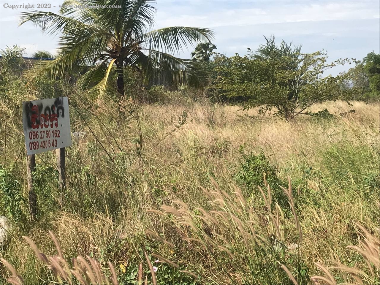 properties