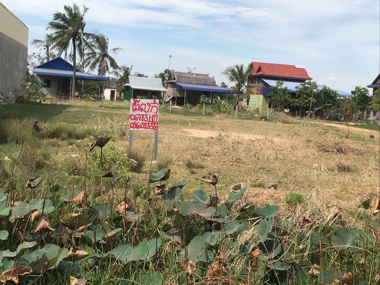properties