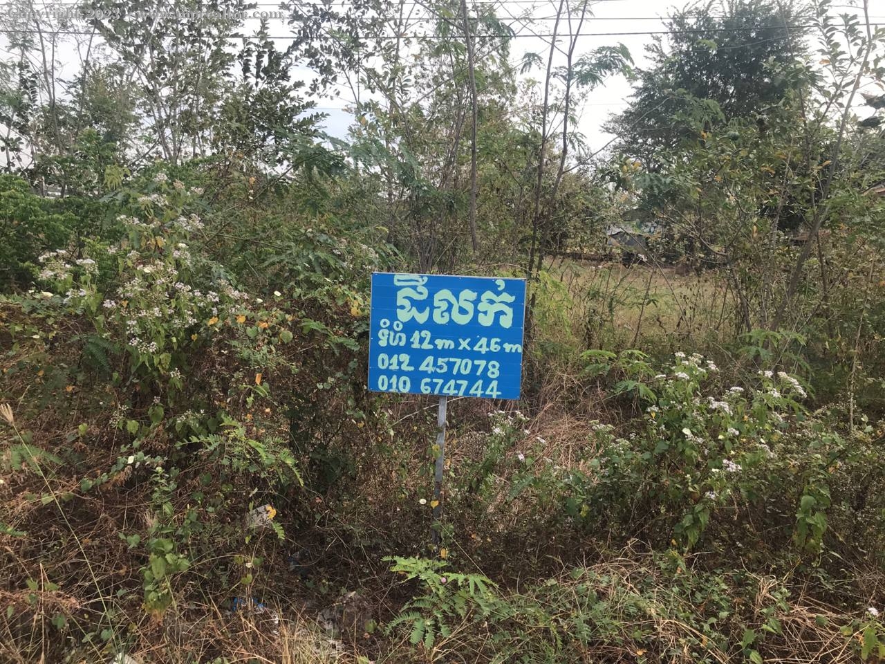 properties