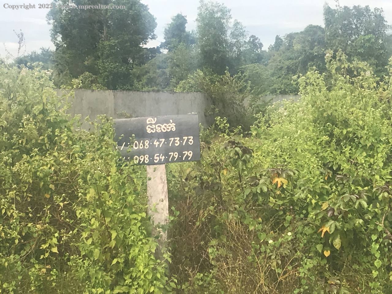 properties